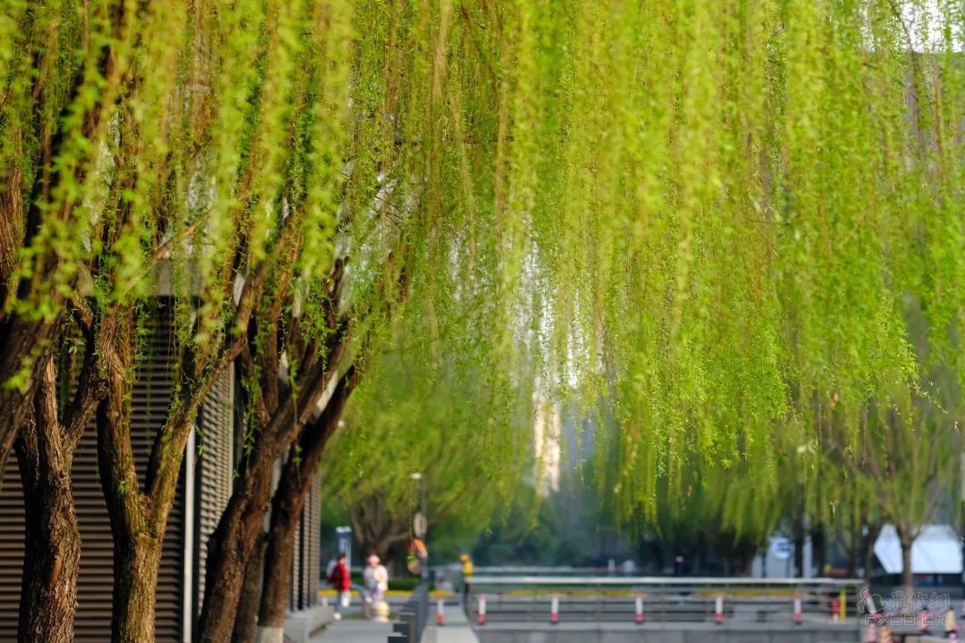 华为与苹果发布会“撞档” 产业链多环节迎发展机遇